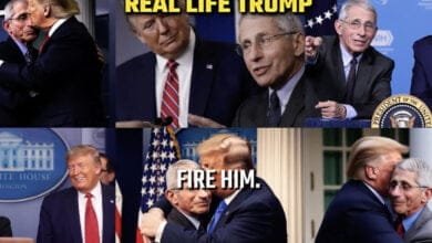 A collage of photos depicts Donald Trump and Anthony Fauci in various poses, some seemingly affectionate, others tense. Text overlays add commentary.