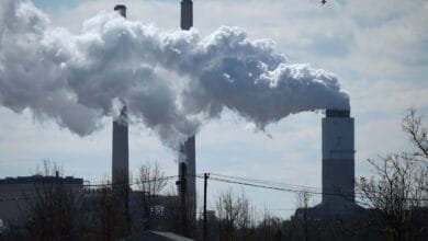 Trump Advocates for Coal to Power the Future of AI