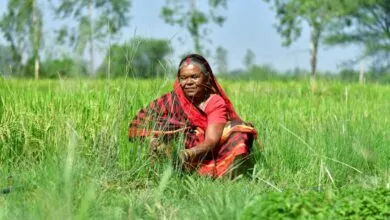 Xprize Awarded to Innovative Carbon Removal Technology