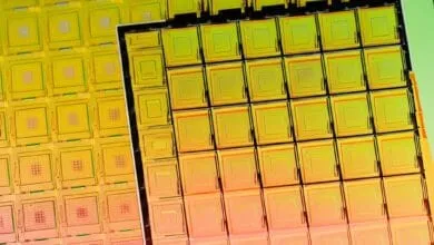 Close-up of semiconductor wafers; numerous tiny, square chips in warm yellow and orange hues.