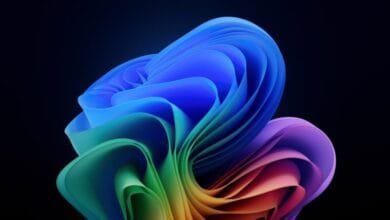 Abstract rainbow-colored swirls on a black background, resembling folded fabric or petals.