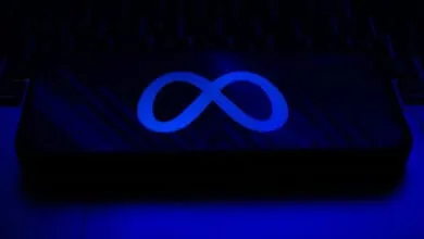 Musk’s DOGE Used Meta’s Llama 2, Not Grok, for Gov’t Cuts: Report