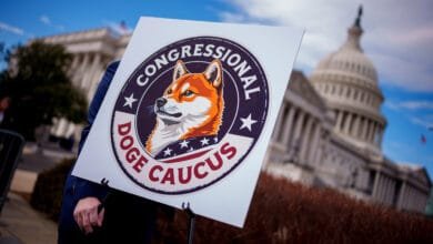 Close-up of a person holding a sign with a Shiba Inu and 'Congressional Doge Caucus' near the US Capitol building.