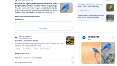 Google search results for "blue bird," showing images and information about bluebirds, including their characteristics and range.