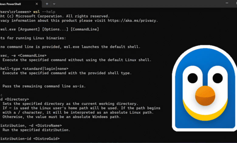 Windows PowerShell terminal displays WSL command help, showing options for running Linux binaries. A friendly penguin icon is also shown.