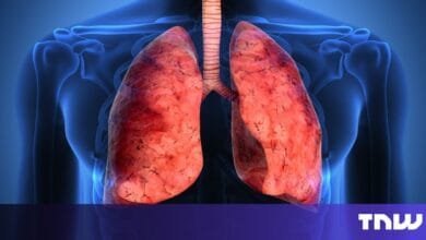 Detailed 3D rendering of human lungs within a translucent ribcage, showcasing intricate textures and bronchioles.