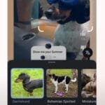 Google Lens identifies a Dachshund wearing goggles in a YouTube Short. Other Dachshund images are shown below.
