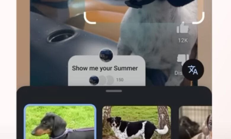 Google Lens identifies a Dachshund wearing goggles in a YouTube Short. Other Dachshund images are shown below.
