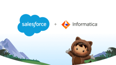 Salesforce and Informatica logos alongside a cute bear mascot against a scenic backdrop.