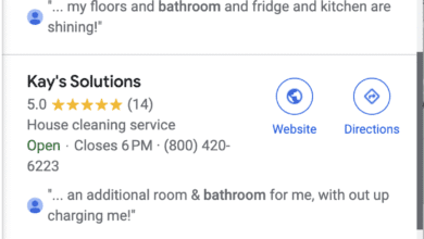 Google search results for bathroom cleaning services, showing three businesses with reviews and contact info.