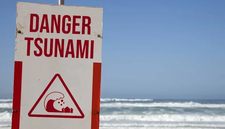 Close-up of a weathered tsunami warning sign with red lettering on a white background, set against a blurred ocean backdrop.
