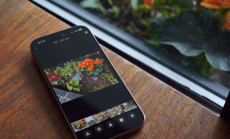 Smartphone displaying a photo of orange and red flowers in a garden bed.