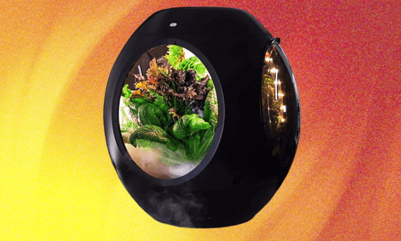 Plantaform Smart Indoor Garden: A black, orb-shaped device cultivates fresh greens.