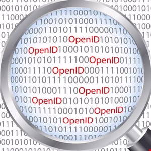 Magnifying glass over binary code highlighting the term 'OpenID'.