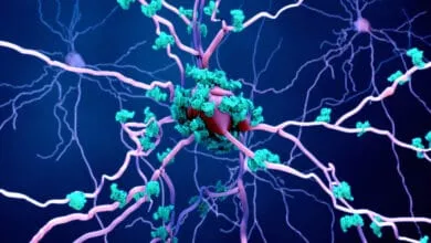 Scientists Test Breakthrough Approach to Reverse Aging