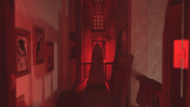 Ghostly figure in a red-lit hallway, framed bird prints on walls.