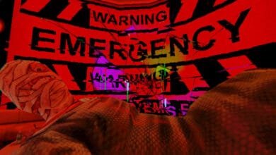 Distorted mummy figure under a glitching red 'WARNING EMERGENCY' sign with digital artifacts.