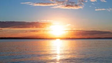 Solar-Powered Aerogel Turns Saltwater Into Drinking Water