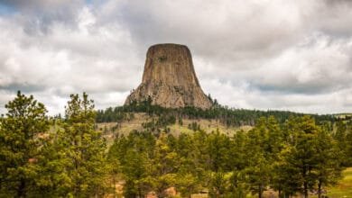 Wyoming AI Could Outpace Human Electricity Use Soon