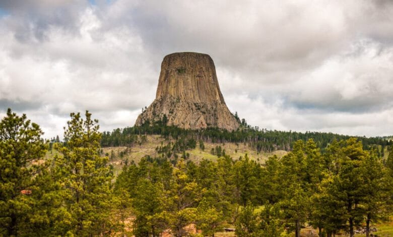 Devils Tower National Monument in Wyoming, a towering rock formation surrounded by pine trees under a cloudy sky.