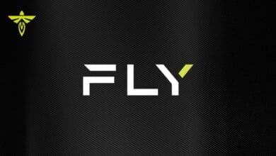 FLY logo on a dark background with a small firefly icon in the upper left corner.