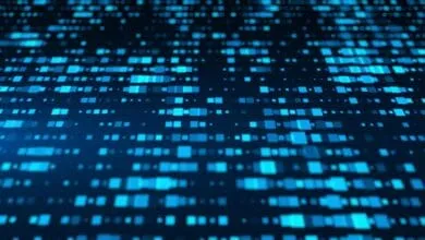 Developers Rely on AI Daily but Remain Wary, Study Shows