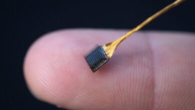 Inner Speech Decoder Raises New Mental Privacy Concerns