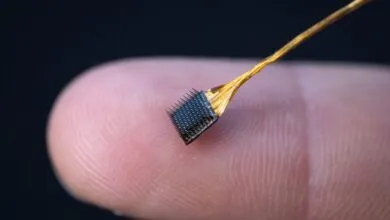 Inner Speech Decoder Raises New Mental Privacy Concerns