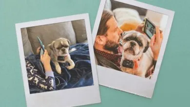 My Ultimate Gaming Buddy: The Best Co-op Partner