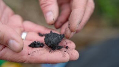 Terraton Aims to Be the McDonald's of Biochar