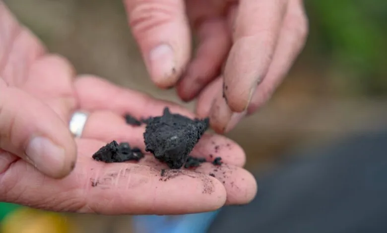 Close-up of hands holding dark, crumbly soil or charcoal. The texture is rough.