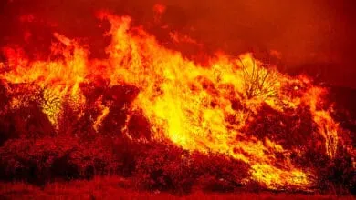 Trump Administration’s Impact on Climate Action Explained