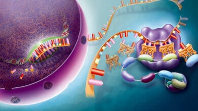 AI Tools Still Struggle With Biology Basics