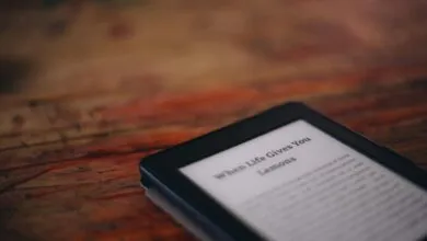 Libby’s New AI Feature Sparks Debate Among Readers