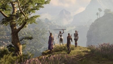 A party of adventurers stands on a cliff overlooking a vast, misty valley in a video game.