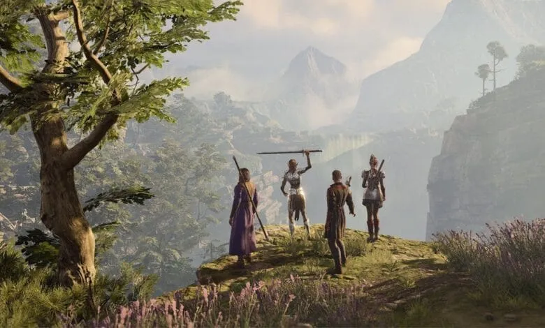 A party of adventurers stands on a cliff overlooking a vast, misty valley in a video game.