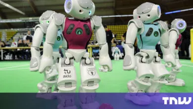 Why Automation Still Needs Humans: The Unlikely Trio of Bananas, Champagne & Robots