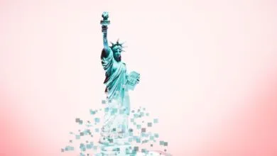 US Told to Exempt Big Tech from Digital Services Act