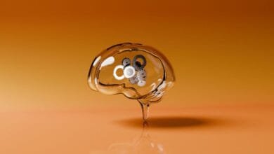 Glass brain shape with gears inside, against an orange background. Represents the mechanics of thought.