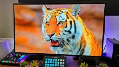Close-up of a tiger's face displayed on a computer monitor, with streaming equipment visible on the desk.