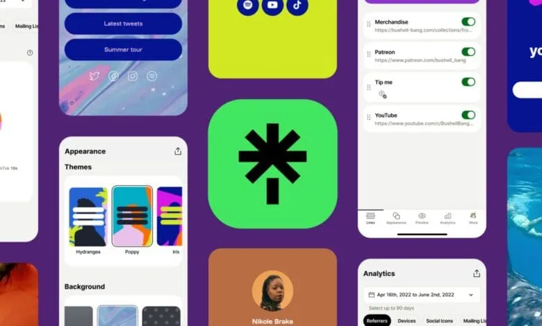 Linktree interface showcasing customizable themes, link options, analytics, and featuring Nikole Brake, founder of Shape Shifters.