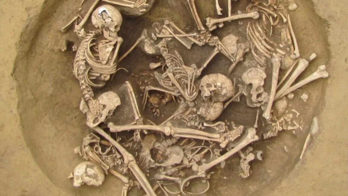 Aerial view of a Neolithic mass grave containing numerous human skeletons.