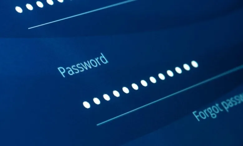 Close-up of a computer screen showing a password entry field with obscured characters.