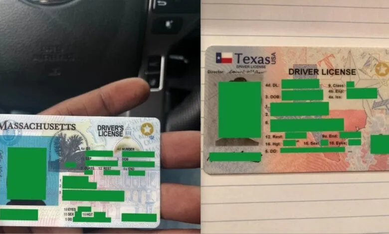 Close-up of two driver's licenses, one from Massachusetts and one from Texas. Personal information is redacted.