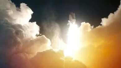 AI: Job Killer, Creator, or Startup Supercharger?