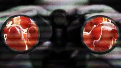 Two pigs viewed through distorted binoculars with heavy static interference.