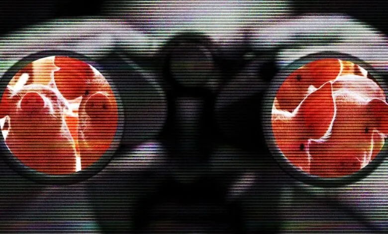 Two pigs viewed through distorted binoculars with heavy static interference.