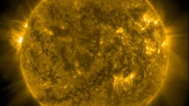 The Sun displays intense solar flares and prominences in vibrant gold and yellow hues against a black void.