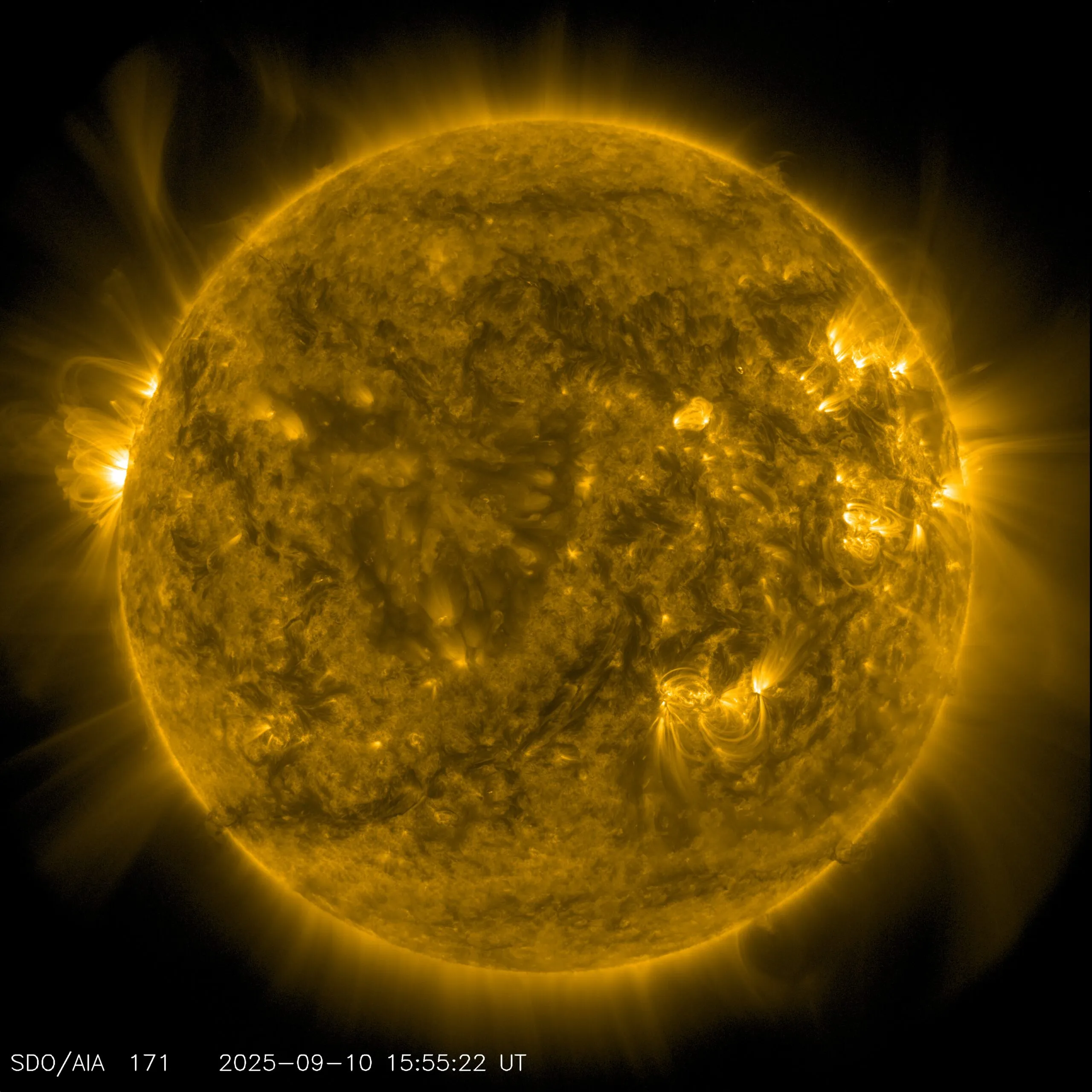 The Sun displays intense solar flares and prominences in vibrant gold and yellow hues against a black void.