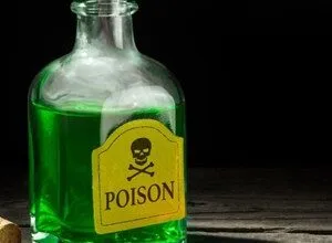 1 in 4 UK and US Firms Hit by Data Poisoning Attacks